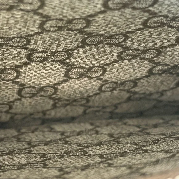 Gucci Dionysus with Lip, Lightning Bolts and Gucci Stripe down the back - Picture 11 of 14